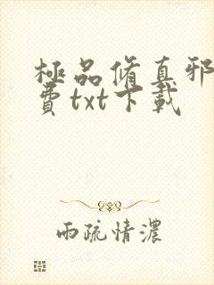 极品修真邪少免费txt下载
