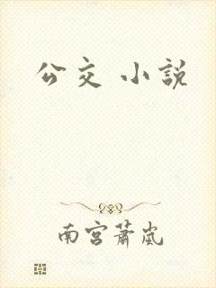 公交 小说