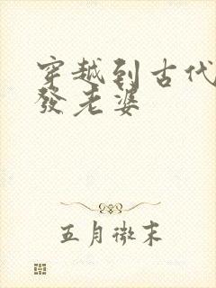 穿越到古代官府发老婆