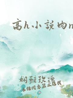 高h小说肉np