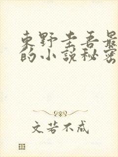 东野圭吾最好看的小说秘密