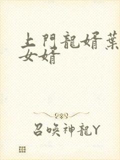 上门龙婿叶辰们女婿