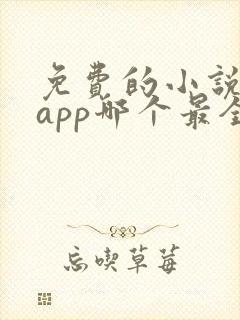 免费的小说阅读app哪个最全