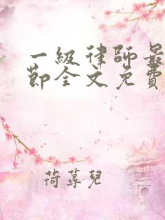 一级律师最新章节全文免费阅读