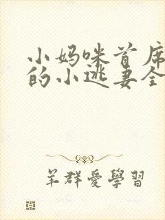 小妈咪首席总裁的小逃妻全文免费阅读