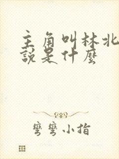 主角叫林北的小说是什么