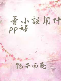 看小说用什么app好