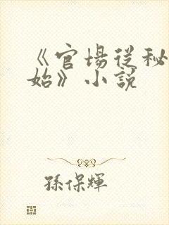 《官场从秘书开始》小说