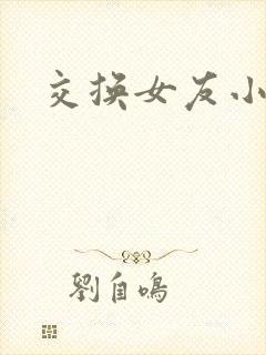 交换女友小说h