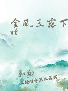 金风玉露下载txt
