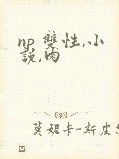 np 双性,小说,肉