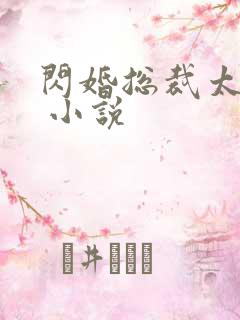 闪婚总裁太霸道 小说