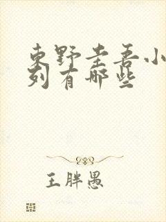 东野圭吾小说系列有哪些
