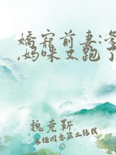 娇宠前妻:爹地,妈咪又跑了