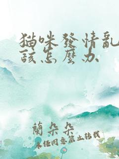 猫咪发情乱尿尿该怎么办