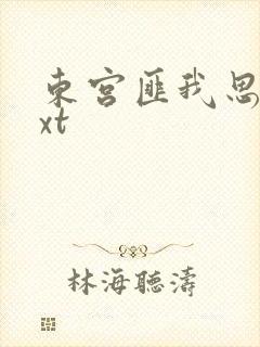 东宫匪我思存txt
