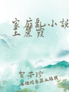 家庭乱小说熟妇王丽霞