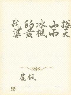 我的冰山总裁老婆黄枫雨天 小说