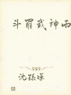 斗罗武神雨浩