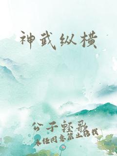 神武纵横
