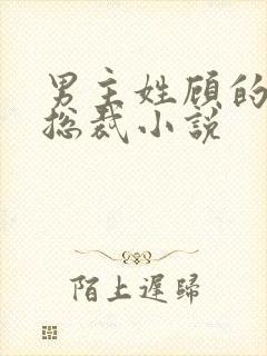 男主姓顾的现代总裁小说