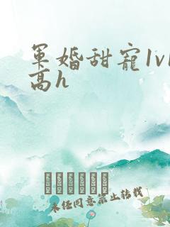 军婚甜宠1v1高h
