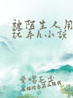 被陌生人用手指玩弄h小说