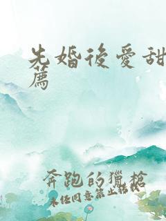 先婚后爱甜文推荐