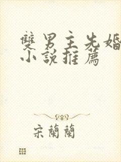 双男主先婚后爱小说推荐