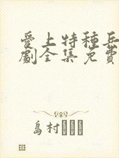 爱上特种兵电视剧全集免费观看