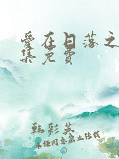 爱在日落之前全集免费