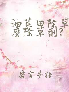 油菜田除草用什么除草剂?