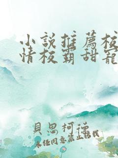 小说推荐校园言情校霸甜宠