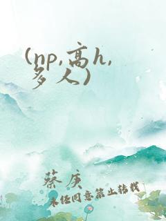 (np,高h,多人)
