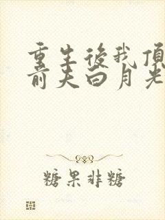 重生后我顶替了前夫白月光完整版阅读