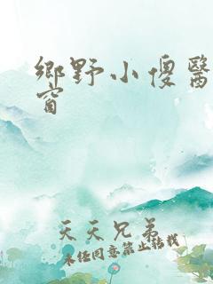 乡野小傻医无弹窗