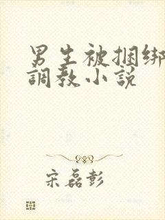 男生被捆绑束缚调教小说