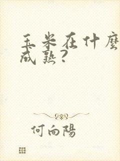 玉米在什么季节成熟?