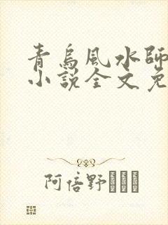 青乌风水师洛少小说全文免费阅读