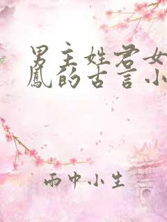 男主姓君女主姓凤的古言小说