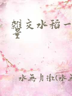 杂交水稻一亩产量