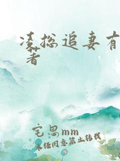 凌总追妻有点甜 著