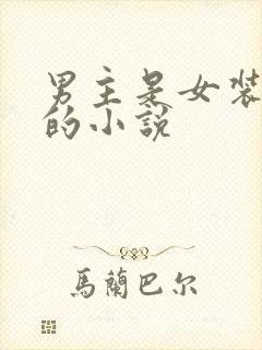 男主是女装大佬的小说