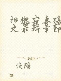 神棍宠妻殇瑷全文最新章节更新时间