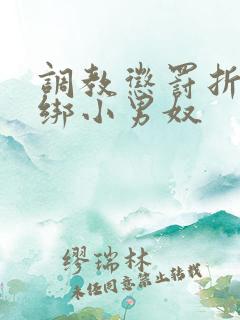 调教惩罚折磨捆绑小男奴
