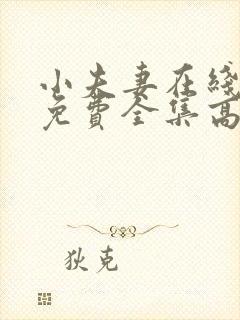 小夫妻在线观看免费全集高清完整