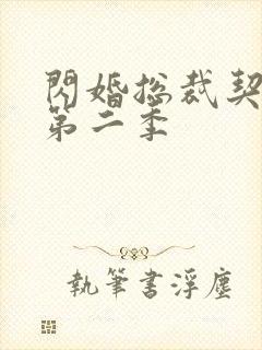 闪婚总裁契约妻第二季