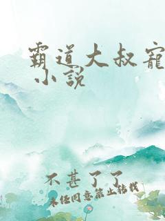 霸道大叔宠甜妻 小说