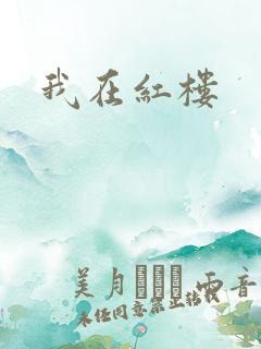我在红楼