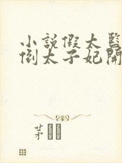 小说假太监从推倒太子妃开始正版全文下载